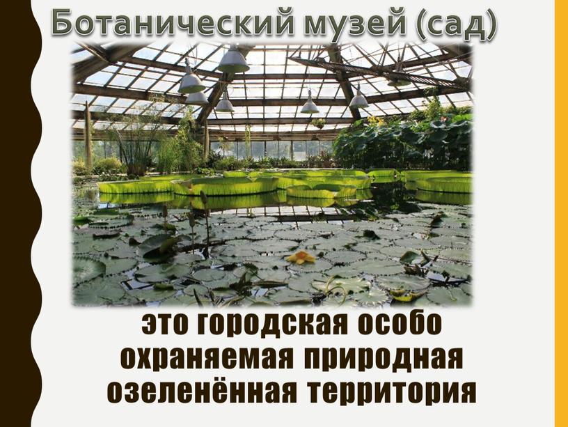 Ботанический музей (сад) это городская особо охраняемая природная озеленённая территория