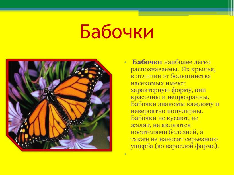 Бабочки Бабочки наиболее легко распознаваемы