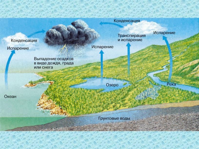 Презентация по географии на тему "Гидросфера. Мировой круговорот воды."