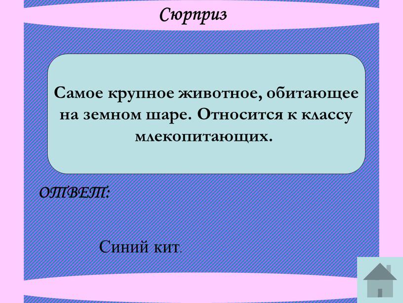 Сюрприз Самое крупное животное, обитающее на земном шаре