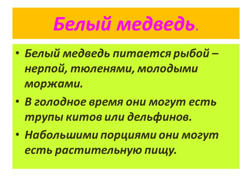 Белый медведь . Белый медведь питается рыбой – нерпой, тюленями, молодыми моржами