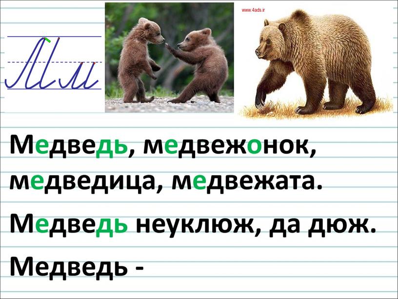 Медведь, медвежонок, медведица, медвежата