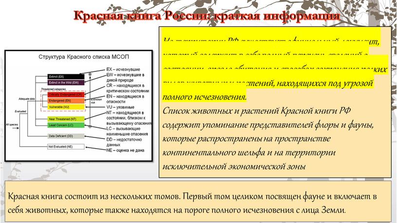 На территории РФ существует официальный документ, который содержит в себе полный перечень сведений о состоянии, ареале обитания и способах сохранения редких видов животных и растений,…