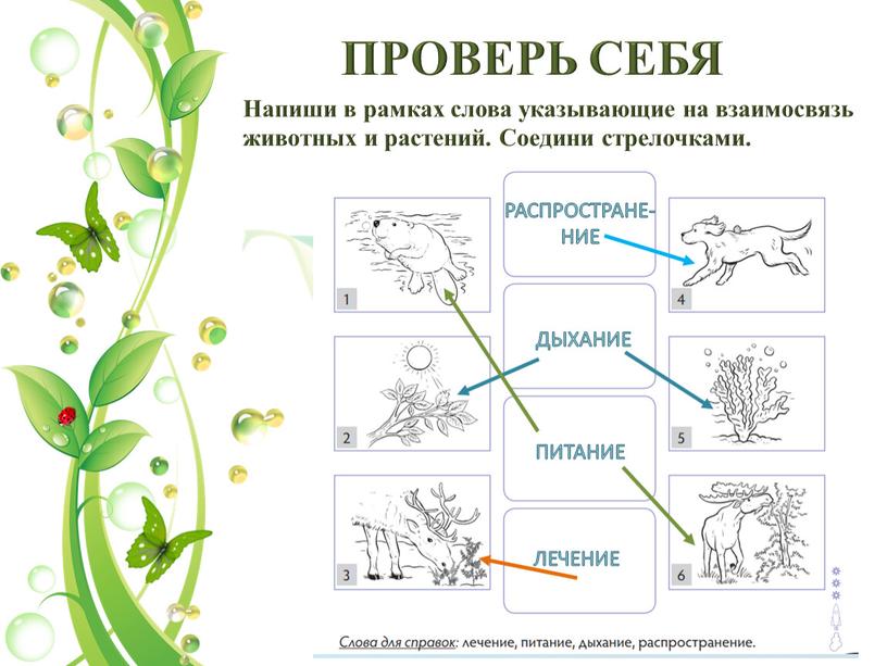 ПРОВЕРЬ СЕБЯ Напиши в рамках слова указывающие на взаимосвязь животных и растений