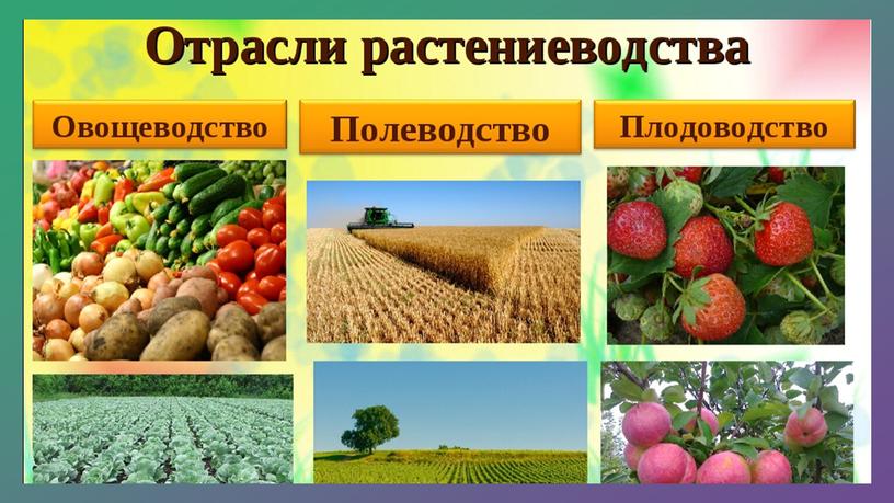 Растениеводство 5 класс