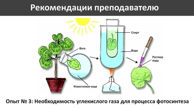 Рекомендации преподавателю Опыт № 3: