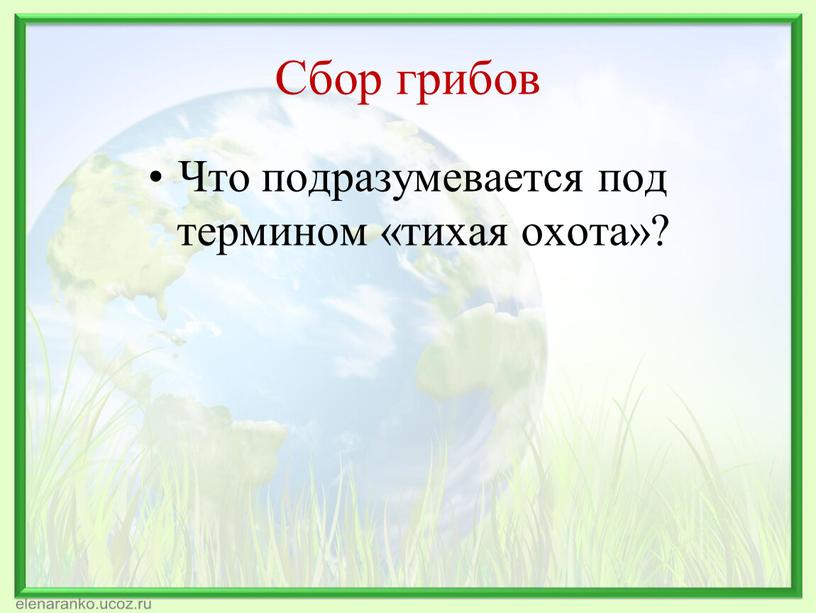 Сбор грибов Что подразумевается под термином «тихая охота»?