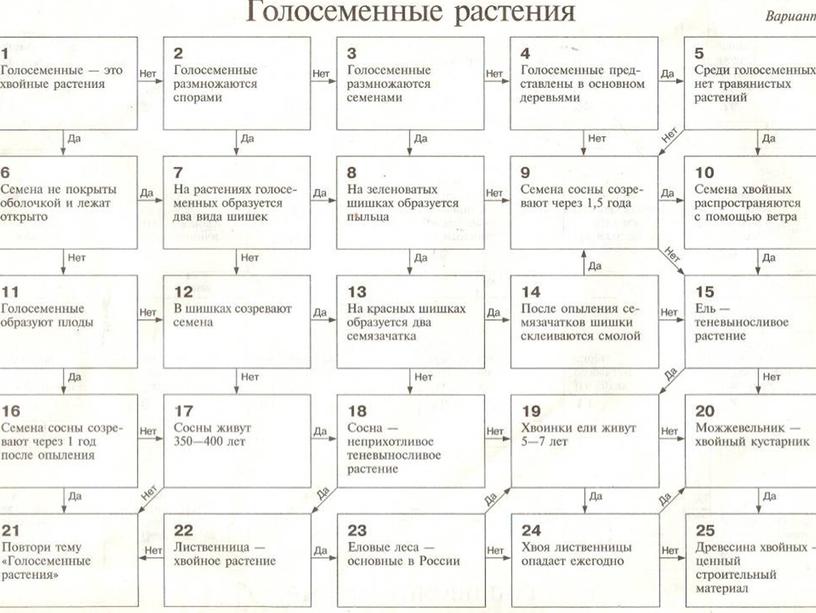 Презентация  к уроку " Голосеменные растения"