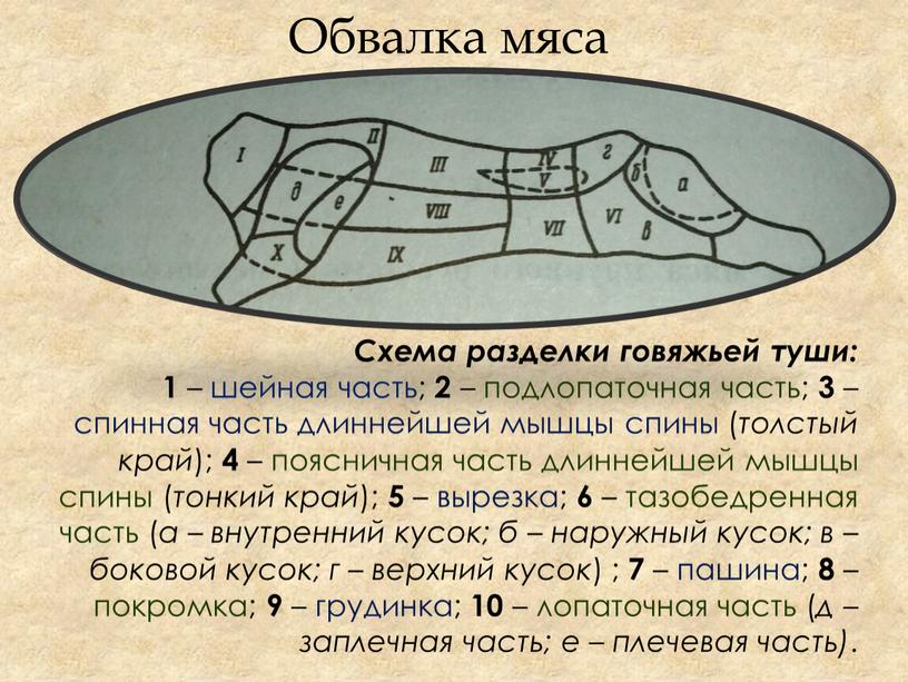 Обвалка мяса Схема разделки говяжьей туши: 1 – шейная часть; 2 – подлопаточная часть; 3 – спинная часть длиннейшей мышцы спины ( толстый край );…