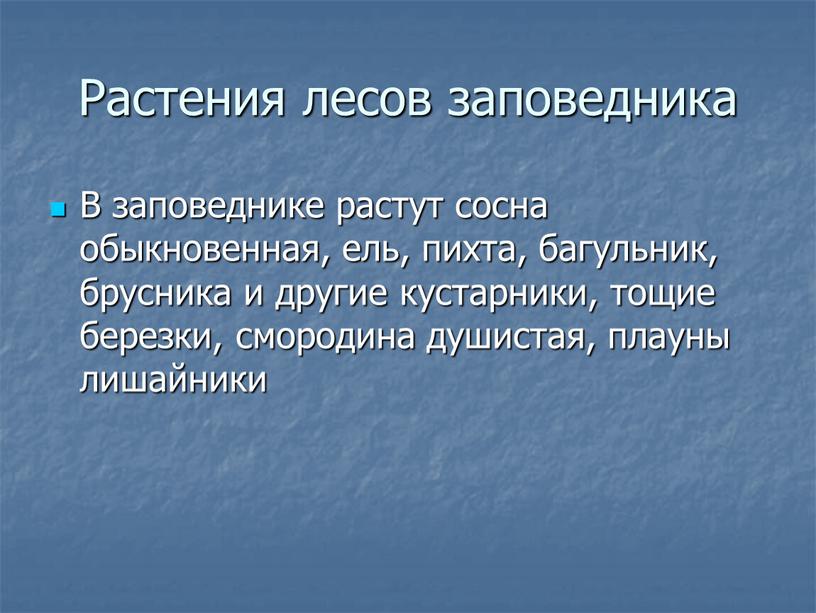 Растения лесов заповедника В заповеднике растут сосна обыкновенная, ель, пихта, багульник, брусника и другие кустарники, тощие березки, смородина душистая, плауны лишайники