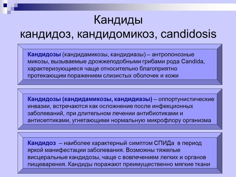 Кандиды кандидоз, кандидомикоз, candidosis