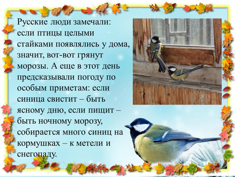 Русские люди замечали: если птицы целыми стайками появлялись у дома, значит, вот-вот грянут морозы