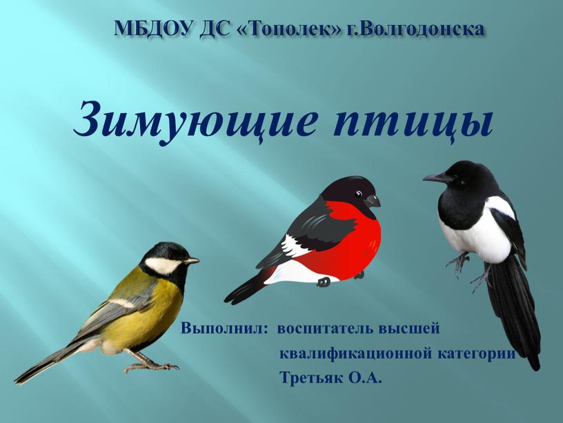 Зимующие птицы МБДОУ ДС «Тополек» г