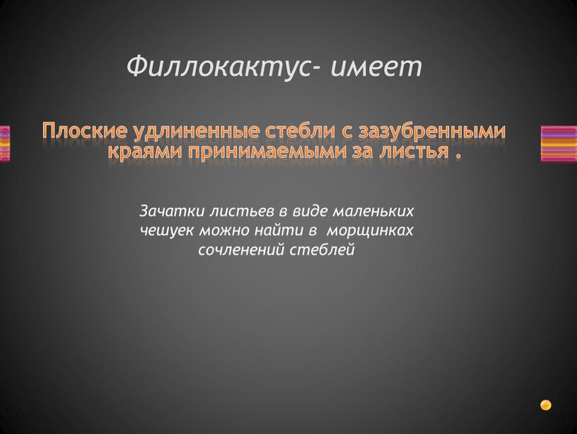 Филлокактус- имеет Плоские удлиненные стебли с зазубренными краями принимаемыми за листья