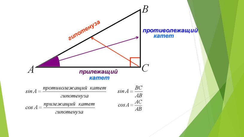 гипотенуза противолежащий прилежащий катет катет