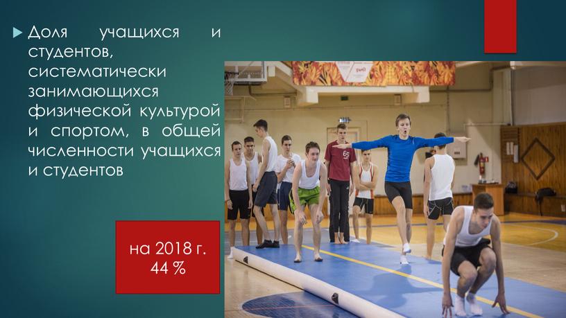 Доля учащихся и студентов, систематически занимающихся физической культурой и спортом, в общей численности учащихся и студентов на 2018 г