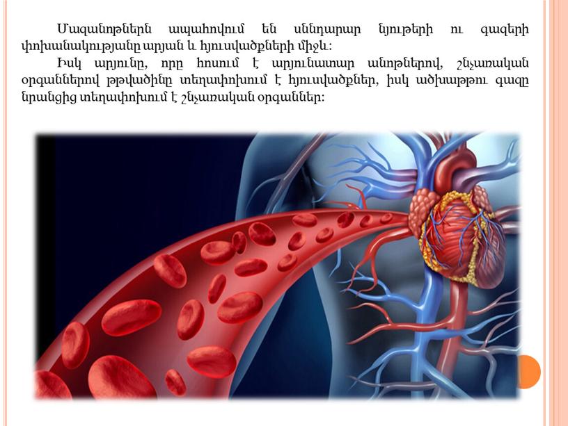 Մազանոթներն ապահովում են սննդարար նյութերի ու գազերի փոխանակությանը արյան և հյուսվածքների միջև: Իսկ արյունը, որը հոսում է արյունատար անոթներով, շնչառական օրգաններով թթվածինը տեղափոխում է հյուսվածքներ,…