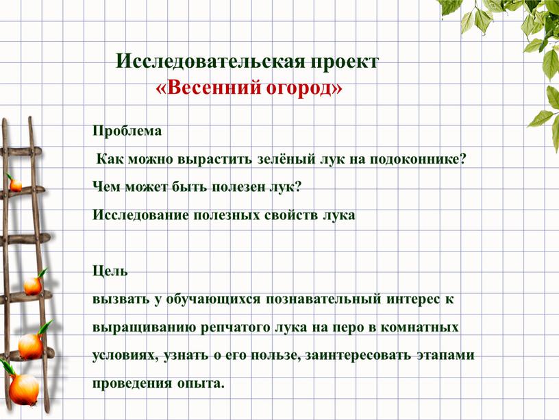 Проблема Как можно вырастить зелёный лук на подоконнике?