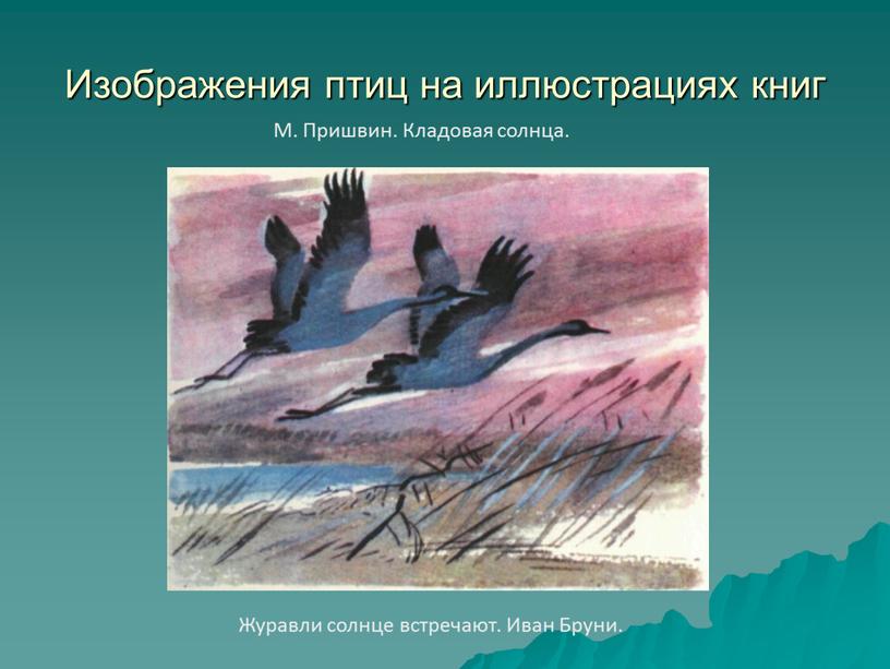 Изображения птиц на иллюстрациях книг