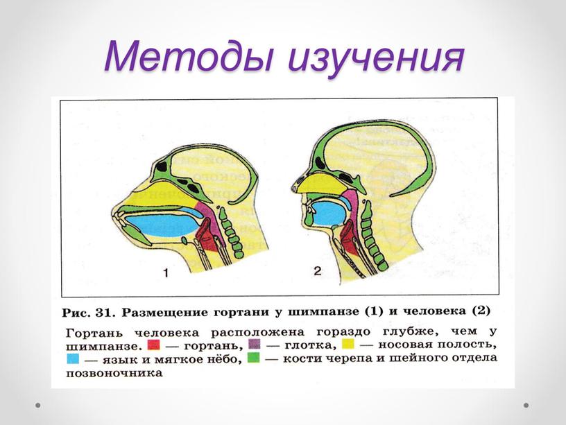 Методы изучения