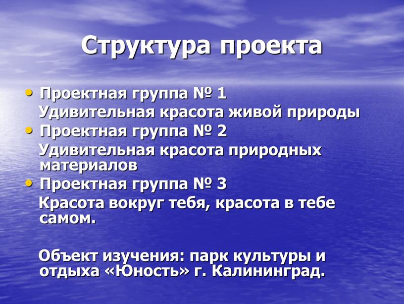 Структура проекта Проектная группа № 1