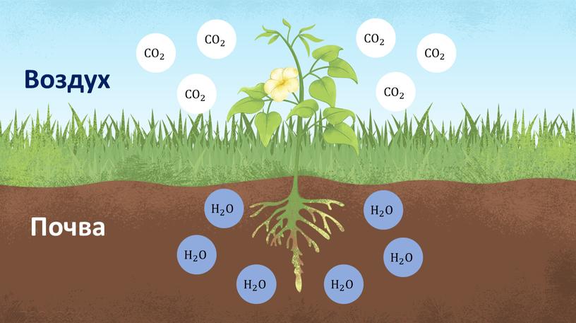 H 2 H H 2 2 H 2 O СO 2 СO СO 2 2