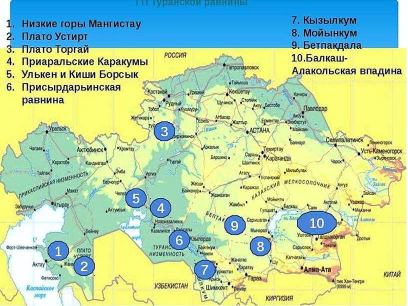 ГЕОГРАФИЯ Растительный и животный мир пустыни