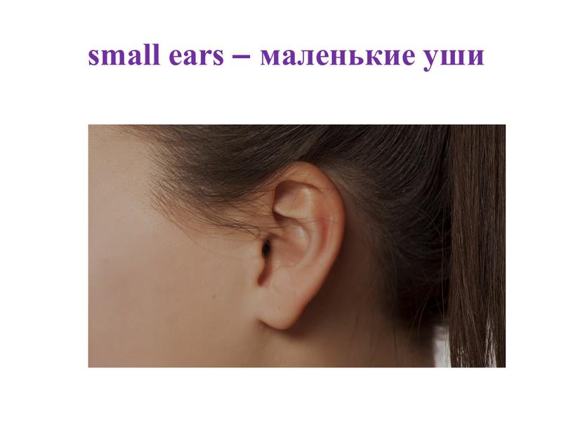 small ears – маленькие уши