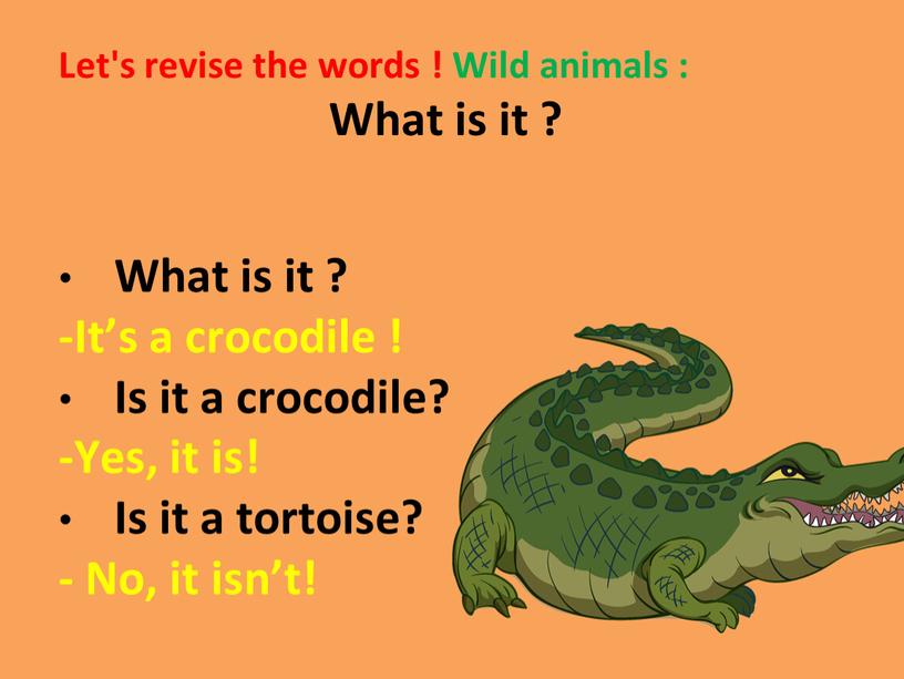 Let's revise the words ! Wild animals :