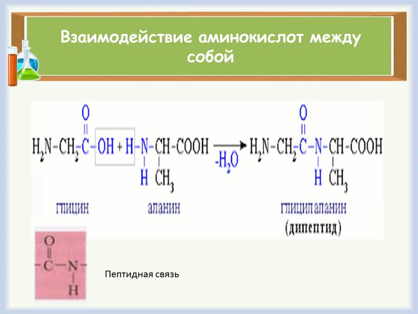 Взаимодействие аминокислот между собой