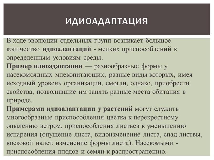 ИДИОАДАПТАЦИЯ В ходе эволюции отдельных групп возникает большое количество идиоадаптаций - мелких приспособлений к определенным условиям среды