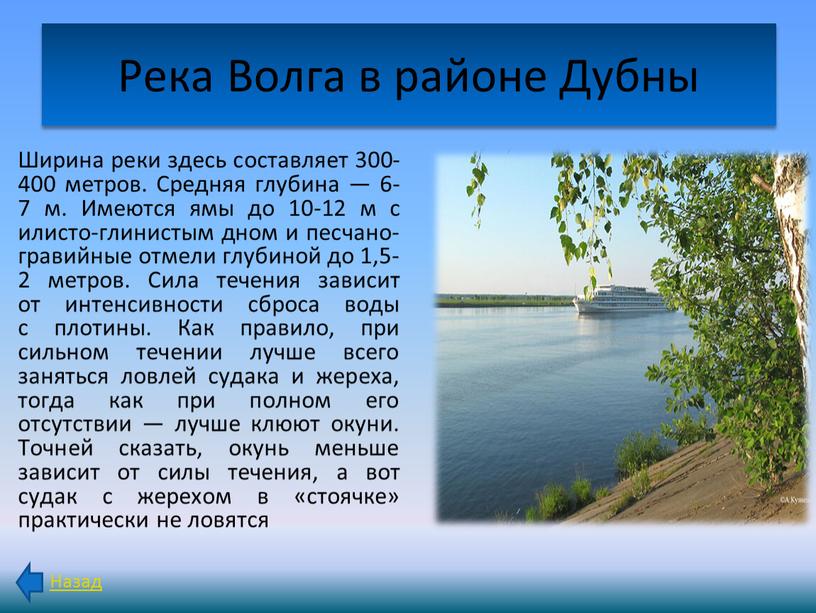 Река Волга в районе Дубны Ширина реки здесь составляет 300-400 метров
