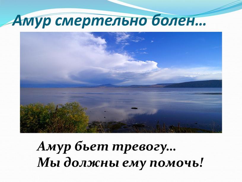 Амур смертельно болен… Амур бьет тревогу…