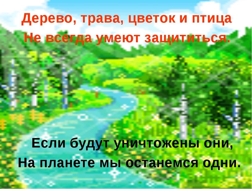 Презентация на тему: "Деревья бывают разные"