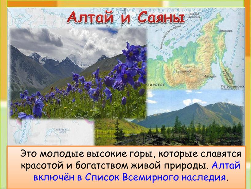 Алтай и Саяны Это молодые высокие горы, которые славятся красотой и богатством живой природы