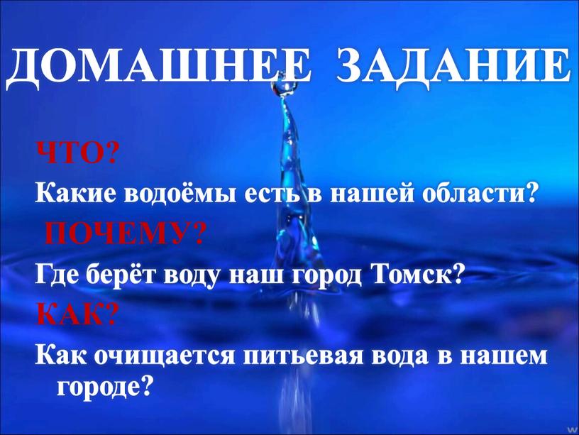 ДОМАШНЕЕ ЗАДАНИЕ ЧТО? Какие водоёмы есть в нашей области?