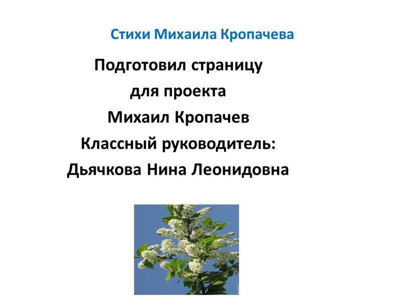 Стихи Михаила Кропачева Подготовил страницу для проекта