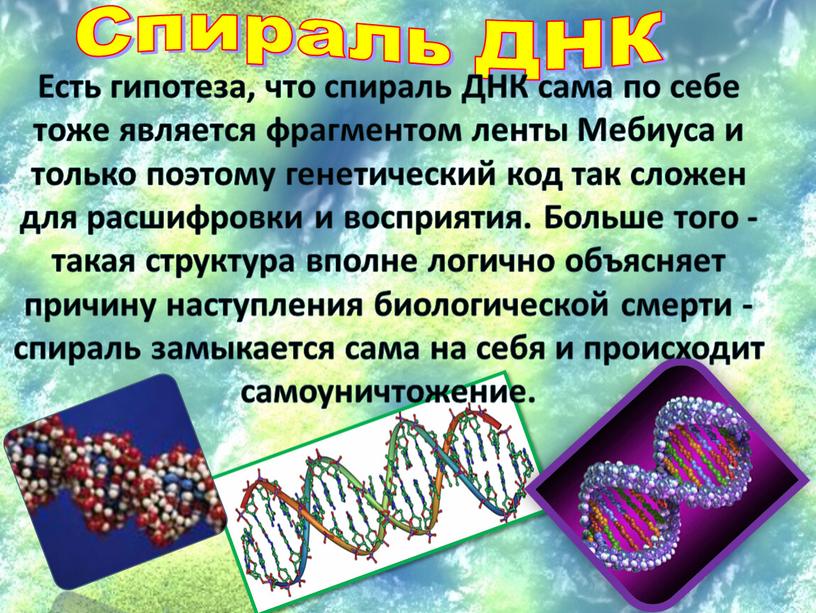 Cпираль ДНК Есть гипотеза, что спираль