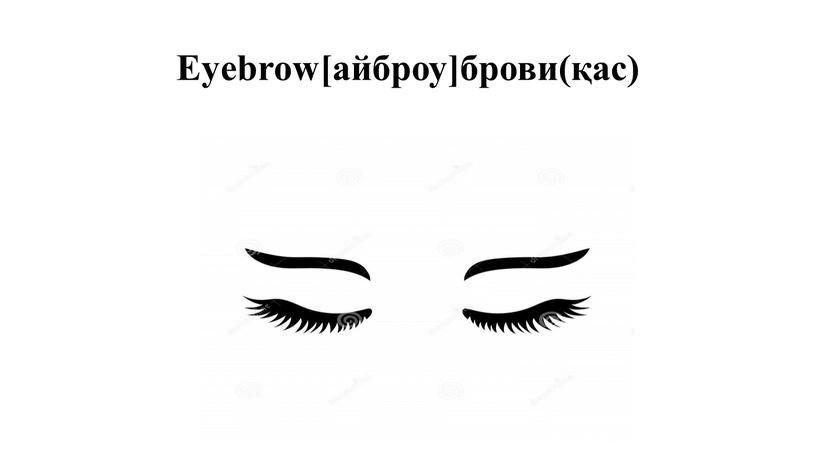 Eyebrow[айброу]брови(қас)