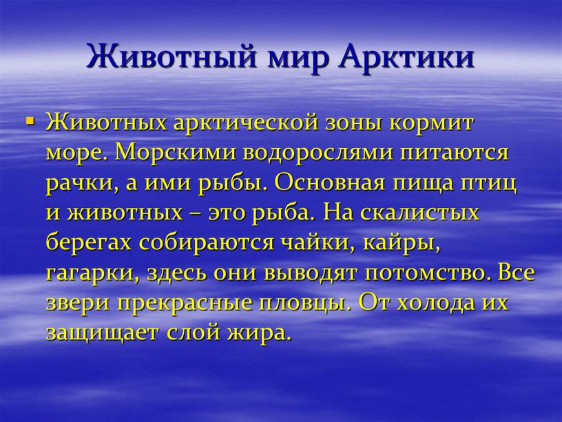 Животный мир Арктики Животных арктической зоны кормит море