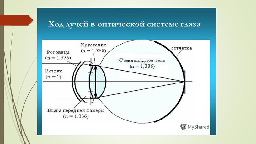 Презентация  к уроку "Глаз как орган зрения и оптическая система"