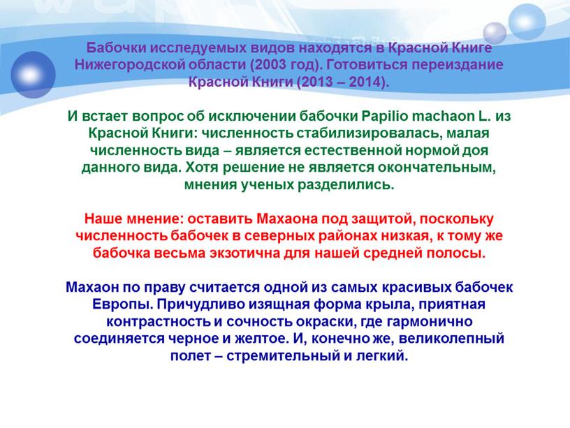 Бабочки исследуемых видов находятся в