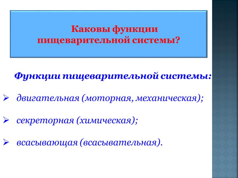 Функции пищеварительной системы: двигательная (моторная, механическая); секреторная (химическая); всасывающая (всасывательная)