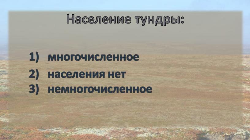 Население тундры: многочисленное населения нет немногочисленное