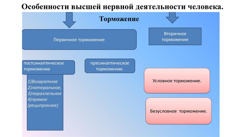 Особенности высшей нервной деятельности человека