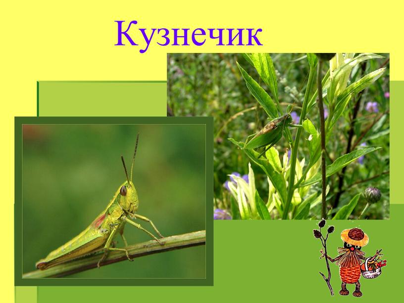 Кузнечик