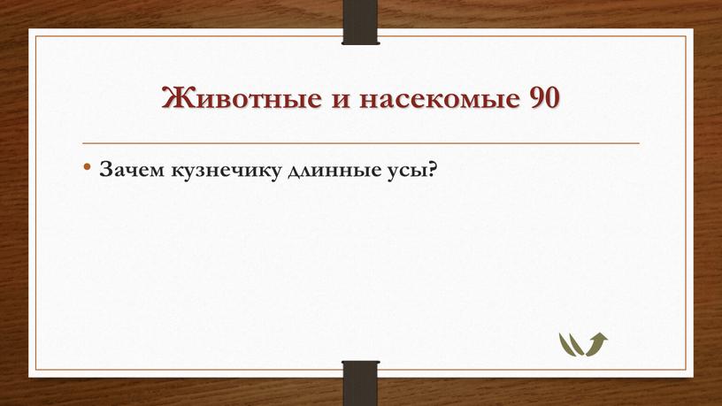 Животные и насекомые 90 Зачем кузнечику длинные усы?