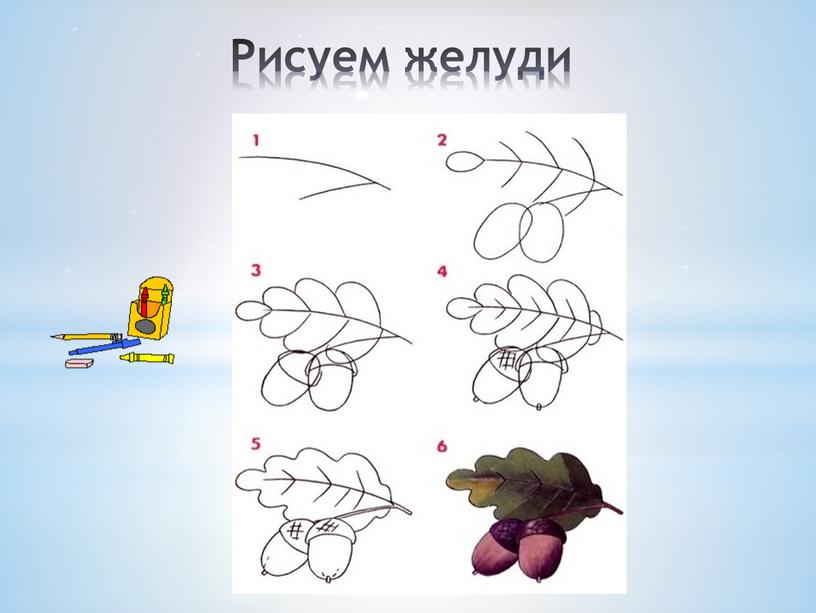 Рисуем желуди