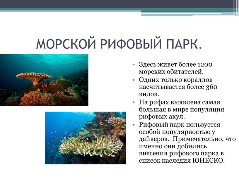 МОРСКОЙ РИФОВЫЙ ПАРК. Здесь живет более 1200 морских обитателей