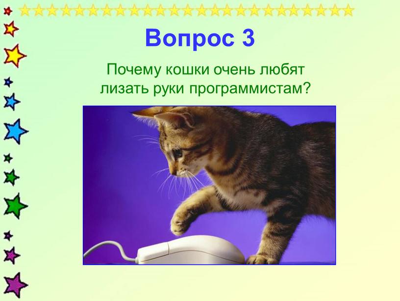 Вопрос 3 Почему кошки очень любят лизать руки программистам?